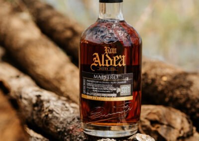 Aldea entre troncos